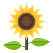 Emoji 🌻 Girasole su JoyPixels 5.5.