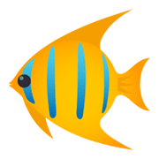 Emoji 🐠 Pesce Tropicale su JoyPixels 5.5.