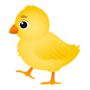 Emoji 🐤 Pulcino su JoyPixels 6.0.