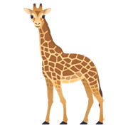 Emoji 🦒 Giraffa su JoyPixels 6.0.