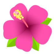 Émoji 🌺 Hibiscus sur JoyPixels 6.0.