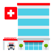 Emoji 🏥 Ospedale su JoyPixels 6.0.