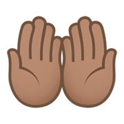 🤲🏽 Emoji Palmas Unidas Para Cima: Pele Morena na JoyPixels 6.0.
