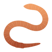 Émoji 🪱 Lombric sur JoyPixels 6.0.