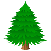 Emoji 🌲 Albero Sempreverde su JoyPixels 6.5.