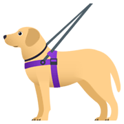 🦮 Emoji Blindenhund JoyPixels 6.5.