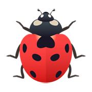 Emoji 🐞 Coccinella su JoyPixels 6.5.