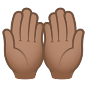 🤲🏽 Emoji Handflächen nach oben: mittlere Hautfarbe JoyPixels 6.5.
