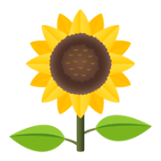 🌻 Emoji Girassol na JoyPixels 6.5.