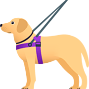 🦮 Emoji Perro Guía en JoyPixels 7.0.