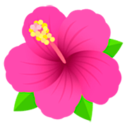 🌺 Emoji Hibisco na JoyPixels 7.0.