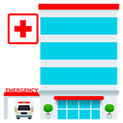 Émoji 🏥 Hôpital sur JoyPixels 7.0.