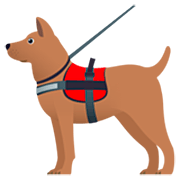 🐕‍🦺 Emoji Perro De Servicio en JoyPixels 7.0.