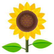 🌻 Emoji Girassol na JoyPixels 7.0.