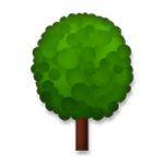 🌳 Emoji árvore Caidiça na LG G4.