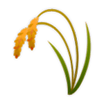 🌾 Emoji Planta De Arroz na LG G4.