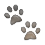 Émoji 🐾 Empreintes D’animaux sur LG G4.