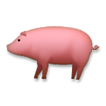 🐖 Emoji Cerdo en LG G4.