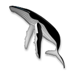 Émoji 🐋 Baleine sur LG G4.