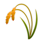 🌾 Emoji Planta De Arroz na LG G5.