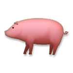 🐖 Emoji Cerdo en LG G5.
