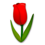 🌷 Emoji Tulipán en LG G5.