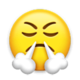 Emoji 😤 Faccina Che Sbuffa su LG Velvet.