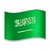 Bandiera: Arabia Saudita LG Velvet.