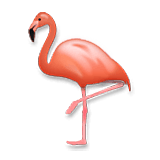 Flamingo LG Velvet.