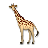 Emoji 🦒 Giraffa su LG Velvet.