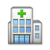 Emoji 🏥 Ospedale su LG Velvet.