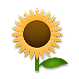 🌻 Emoji Sonnenblume LG Velvet.