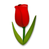 Emoji 🌷 Tulipano su LG Velvet.