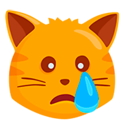 Emoji 😿 Gatto Che Piange su Messenger 1.0.