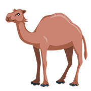 🐪 Emoji Camelo na Messenger 1.0.