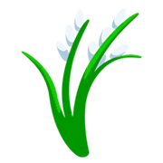 Émoji 🌾 Plant De Riz sur Messenger 1.0.