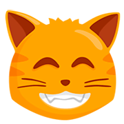 😸 Emoji grinsende Katze mit lachenden Augen Messenger 1.0.