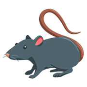 Émoji 🐀 Rat sur Messenger 1.0.