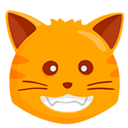 Émoji 😺 Chat Qui Sourit sur Messenger 1.0.