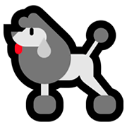 Emoji 🐩 Barboncino su Microsoft Windows 10 Fall Creators Update.