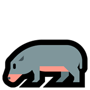 Émoji 🦛 Hippopotame sur Microsoft Windows 10 October 2018 Update.