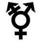 Emoji ⚧ Simbolo transgender su Microsoft Windows 10.
