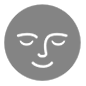 Emoji 🌚 Faccina Luna Nuova su Microsoft Windows 10.