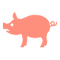 🐖 Emoji Schwein Microsoft Windows 10.