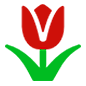 Emoji 🌷 Tulipano su Microsoft Windows 10.