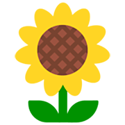 🌻 Emoji Sonnenblume Microsoft Windows 11 22H2.
