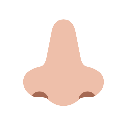Emoji 👃🏼 Naso: Carnagione Abbastanza Chiara su Microsoft Windows 11 23H2.
