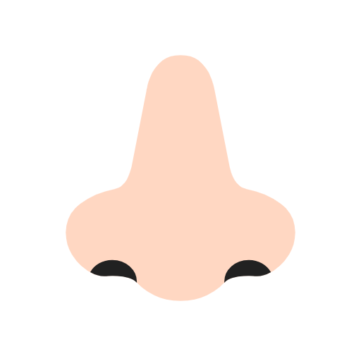 Emoji 👃🏻 Naso: Carnagione Chiara su Microsoft Windows 11 23H2.