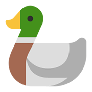 Emoji 🦆 Anatra su Microsoft Windows 11 November 2021 Update.