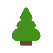 🌲 Emoji árbol De Hoja Perenne en Microsoft Windows 11 November 2021 Update.